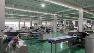 Machine à emballer multifonctionnelle automatique de flux de paquet d'oreiller de machines d'emballage de nourriture - Product Image 6