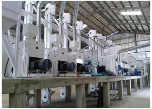 Impianto di <span class=keywords><strong>riso</strong></span> completo unità integrata per il progetto di macinazione del <span class=keywords><strong>riso</strong></span> fabbrica di <span class=keywords><strong>riso</strong></span> 20 ~ 30 TPD 30 ~ 40 TPD - Product Image 6