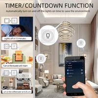Module de relais intelligent mini interrupteur TYSH 1/2/3/4 gang Tuya Wifi Zigbee compatible avec la commande vocale Google Home Alexa