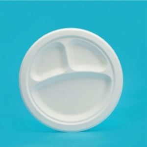 Assiettes en bagasse incassables personnalisées, à compartiments, jetables, pour servir le barbecue - Product Image 3