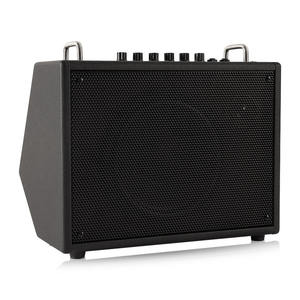 Amplificador de 30W de Acero Inoxidable con Woofer de 8 Pulgadas para Saxofón, Piano y Batería Electrónica - Product Image 1