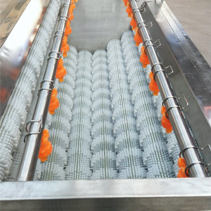 TEKFOOD Petite machine à laver et à éplucher les racines de pommes de terre à rouleau à <span class=keywords><strong>brosse</strong></span> industrielle Machine à éplucher les carottes et gingembre à vendre - Product Image 2