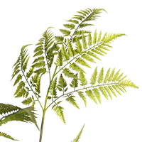 Plante artificielle en plastique de grande taille, type fougère, avec fleurs, pour la décoration de la maison et du bureau, vente en gros, directement de l'usine