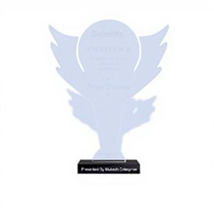 Trofeo de Acrílico Pulido de Primera Calidad, Duradero, para Premios de Excelencia, Grabado con Letras Impresas, Reconocimiento Corporativo a Empleados, Venta al Por Mayor - Product Image 1
