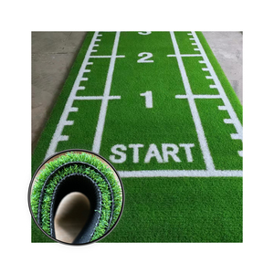 Pelouse artificielle écologique personnalisée de 15mm tapis de gymnastique gazon synthétique pour les terrains de sport de golf en PP et PE - Product Image 1