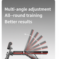 Banc de musculation multifonctionnel Lingxi, pliable, en PU, réglable, assistant pour les sit-ups, design ergonomique, unisexe