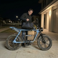Vélo électrique grande capacité 16Ah pour adultes avec écran LCD, vélo électrique à pneus larges pour les trajets quotidiens et le sport