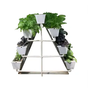 Pertanian rumah kaca Pertanian Saluran NFT tumbuh hidroponik sistem pipa untuk tomat selada stroberi