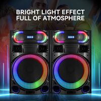 Speaker Pesta HoXen Mecha Style 12 inci 60W*2 RGB LED dengan Mic Karaoke - Desain Kayu 2 Buah