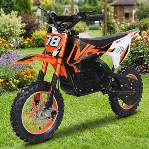 36V 500W Waterproof <b>Motocross</b> Disc Junior Outdoor Riding <b>Toy</b> Y-03 - Product Image 1