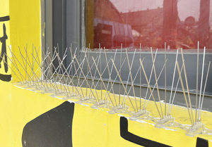 เดือยไล่<span class=keywords><strong>นก</strong></span>สแตนเลสขนาด 50 ซม. พร้อมฐาน PC ป้อง<span class=keywords><strong>กัน</strong></span><span class=keywords><strong>นก</strong></span>พิราบ สำหรับ<span class=keywords><strong>หลังคา</strong></span>ภายนอกและรั้วสวน - Product Image 6