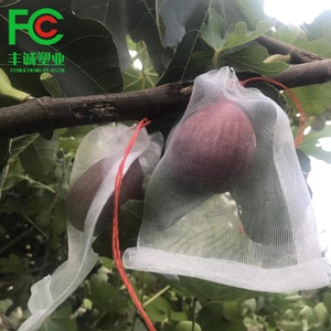 New HDPE Fruit Date Palm Protection <strong>Mesh</strong> Bags/Anti Insect <strong>Netting</strong> Bag - Product Image 3