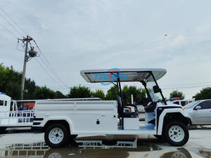 Vendita calda nel Design classico auto da pattuglia elettrica a 2 posti a batteria Tour turistico con scatola di carico - Product Image 4