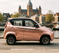 Modèle européen de mini SUV électrique alimenté par batterie, véhicule électrique, petite voiture électrique, EEC COC
