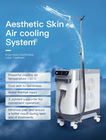 Mesin Pendingin Kulit Cryo Sanhe Beauty 1500W RF -30 Pendingin Air & Udara Tanpa Rasa Sakit Kekuatan Tinggi Komersial/Rumahan Untuk Perawatan Tubuh