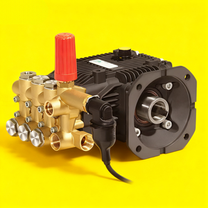 BOTUO KBM Triplex Kolbenpumpe 8-19L/min 100-250Bar 7.5kW Hochdruckreinigerpumpe für die Industrielle Reinigung - Product Image 1