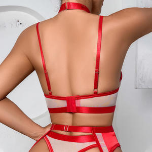 Ensemble de lingerie sexy pour femmes avec soutien-gorge en maille transparente, effet push-up, coupe ajustée, lingerie sexy tentante, ensemble de cinq pièces pour femmes - Product Image 5