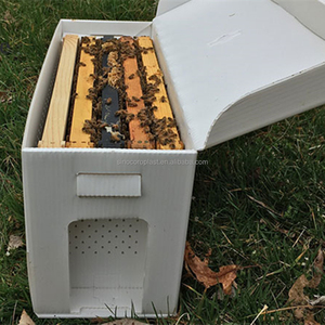 Bán buôn có thể gập lại corflute coroplast tổ ong NUC hộp - Product Image 3