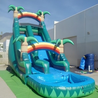 Toboggans aquatiques gonflables commerciaux populaires à double piste avec grande piscine à éclaboussures, pour enfants et adultes