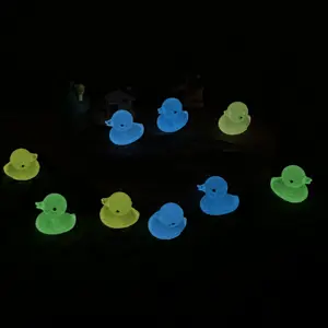 100-Zaad/Bagcolor Glow-In-The-Dark Verf Eendje Landschap Lichtgevend Hars Materiaal Fluorescerende Decoratieve Ambachten