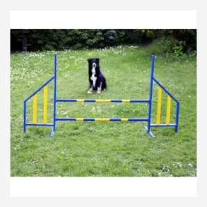 Équipement <span class=keywords><strong>de</strong></span> formation d'agilité <span class=keywords><strong>de</strong></span> chien <span class=keywords><strong>de</strong></span> compagnie <span class=keywords><strong>de</strong></span> saut d'obstacle en plastique plié pour le <span class=keywords><strong>cours</strong></span> <span class=keywords><strong>de</strong></span> jeux en plein air - Product Image 6