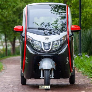 Triciclo Eléctrico Cerrado de 1500W 48V para 1 Pasajero, Vehículo de Movilidad para Personas Mayores de Baja Velocidad - Product Image 1