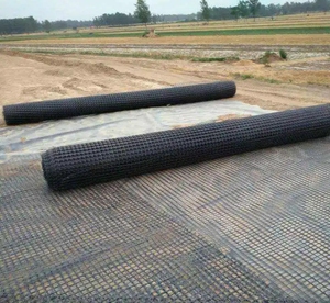 Pet lưới <span class=keywords><strong>polyester</strong></span> <span class=keywords><strong>geogrid</strong></span> PVC tráng cho xây dựng đường bộ - Product Image 6