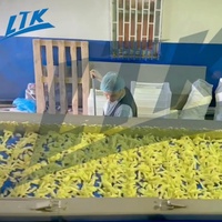Nieuwe volautomatische elektrische lijn voor het maken van diepvriesfrieten, bananenchips, aardappelchips, fruit- en groentefriet, met aanpasbare snijfunctie