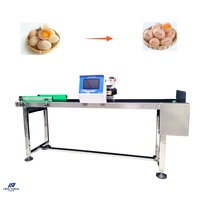 Impresora de inyección de tinta para huevos marca NP, la mejor máquina para marcar huevos, impresora de inyección de tinta para fecha de huevos