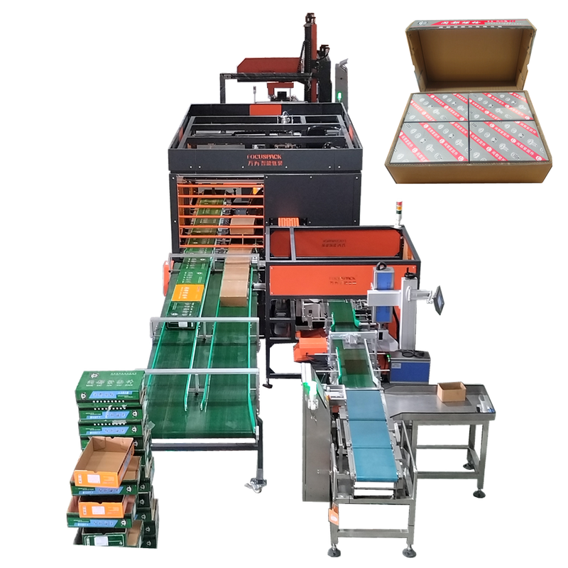 Focus Machinery Automatic Case Packing Line