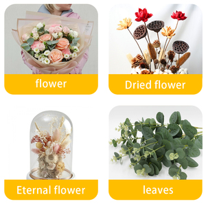 Sơn xịt hoa màu sắc cổ điển, chất lượng chuyên nghiệp, không mùi, bền lâu, thân thiện với môi trường - Product Image 6