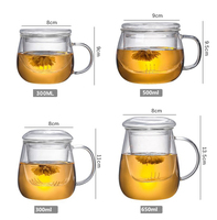 Tasse à thé en verre avec infuseur, ensemble de tasses à thé avec couvercle pour thé en feuilles