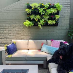 Nuevos Jardineras Verticales para Interiores y Exteriores, Pared Vegetal, Macetas Colgantes - Product Image 6