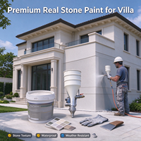 Peinture acrylique écologique à base de pierre naturelle, imperméable, anti-UV, imitation granit, revêtement texturé pour murs extérieurs de villas