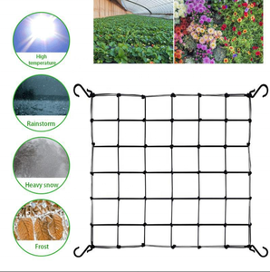 Malla elástica flexible de 4 pulgadas para soporte de plantas trepadoras en jardinería interior, precio de fábrica - Product Image 6