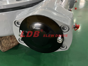 Slewing <span class=keywords><strong>Drive</strong></span> LDB SE9A menawarkan kualitas yang stabil dan andal, dan telah diekspor ke banyak negara di seluruh dunia. - Product Image 4