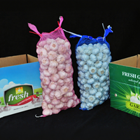 Verse pure witte knoflook groenten groothandelsprijs Optimum merk gaas zakken Top kwaliteit nieuwste oogst geëxporteerd Shandong China