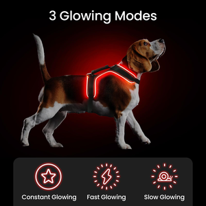 สายรัดอกสัตว์เลี้ยงแบบมีไฟ LED พร้อมสายจูงนิรภัยแบบไนลอน ปรับความยาวได้ - Product Image 2