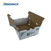 Boîte d'emballage pour pommes de terre, couvercle facile à ouverture, emballage Carton blanc, pliable
