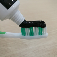 Set Brosse à Dents et Dentifrice au Miswak Bio & Extraits de Graines de Cumin Noir, Ingrédients Naturels pour le Blanchiment des Dents