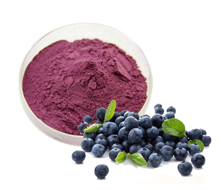 blueberry juice powder supplier