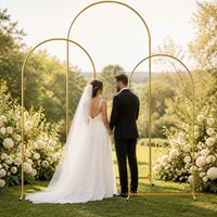 Arche de mariage moderne en fer, hauteur 2,2 m, avec rideau en tulle, décoration pour mariages, marque Fanhua Huijin, modèle 020