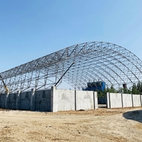 Structure en acier Q355B pour hangar de stockage de matériaux en vrac à grande portée avec toit cintré