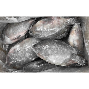 Pesce Tilapia Congelato All'Ingrosso, Tilapia Nera Intera 400-600g Importata dalla Cina - Product Image 6