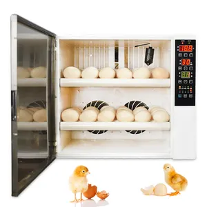 Fully Automatic 60 Chicken Capacity Ostrich Egg Incubator Used Chicken Egg incubator for sale