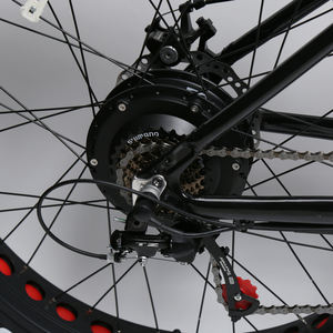 Bicicleta tándem eléctrica TXED de 26 pulgadas con Motor de 48V y 500W, marco de aleación de aluminio, bicicleta eléctrica de turismo público de 7 velocidades - Product Image 3