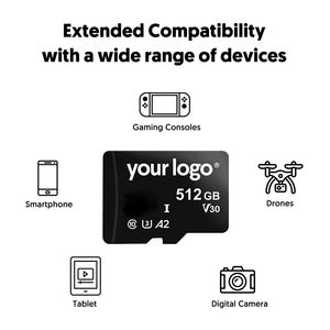 Scheda di Memoria Economica 2023, Scheda CF, Mini <span class=keywords><strong>SD</strong></span>, Memoria da 1GB 2GB 4GB 16GB 64GB 128GB, Vendita all'Ingrosso di Schede di Memoria da 512GB - Product Image 3