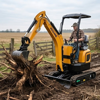 Mini-excavatrice compacte à bonne adaptabilité au terrain, idéale pour le creusement de fosses et les projets agricoles.