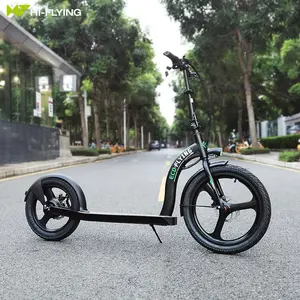 Off Road 20Inch 16Inch Bánh Xe Lớn Tầm Xa E Thành Phố Xe Tay Ga 2 Bánh Người Lớn Electric Scooter Từ Eu Kho Cửa Vận Chuyển