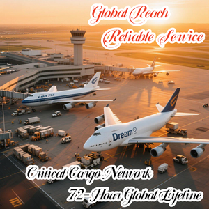 VERS LES ÉTATS-UNIS Surpoids Surdimensionné Sûr/Rapide Qualité la plus élevée Efficace FCL/LCL Fret aérien Logistique Services DDP/DDU porte-à-porte - Product Image 5